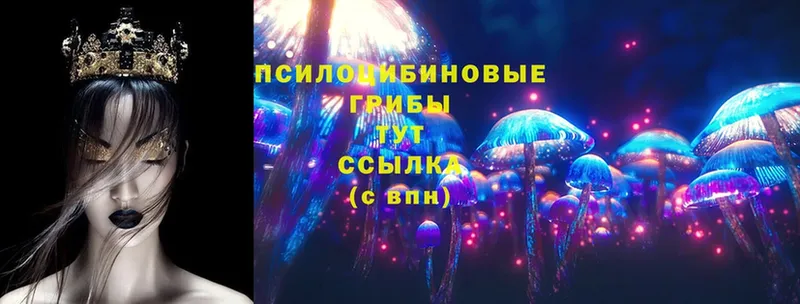 Псилоцибиновые грибы Magic Shrooms  купить наркотики цена  Кораблино 